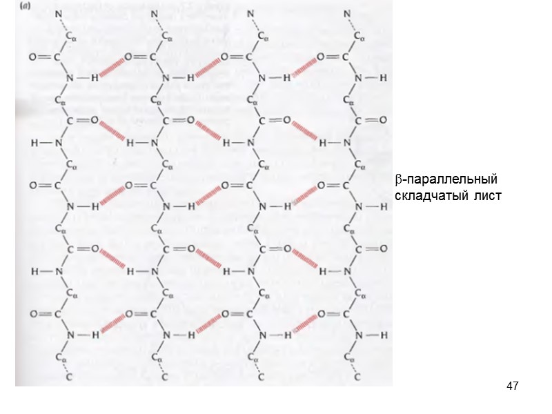 47 b-параллельный складчатый лист